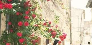 Intervista alla travel blogger Elisa di Serendipitsite Intervista alla travel blogger Elisa di Serendipitsite