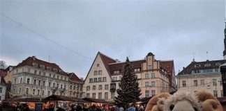 Intervista al travel blog Ram on the Run Intervista al travel blog Ram on the Run