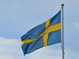 Qual è la bandiera della Svezia