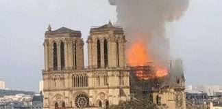 Cattedrale di Notre Dame a Parigi Cattedrale di Notre Dame a Parigi