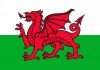 Qual è la bandiera del Galles Qual è la bandiera del Galles