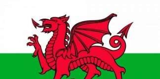 Qual è la bandiera del Galles Qual è la bandiera del Galles