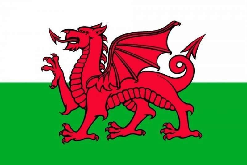 Orecchini Con Bandiera Gallese E Drago – Smalto, Ipoallergenici, Con Sacchetto Regalo