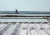 La Sicilia e i suoi luoghi magici: le saline di Trapani La Sicilia e i suoi luoghi magici le saline di Trapani
