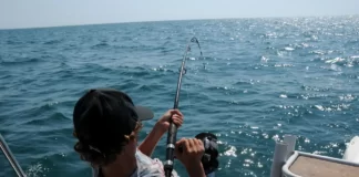 Licenza di pesca in Portogallo Licenza di pesca in Portogallo