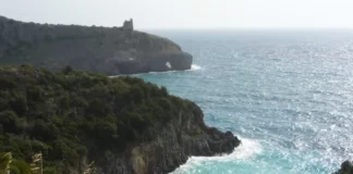 Cilento dove si trova