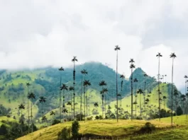 Quale lingua si parla in Colombia