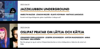 Migliori discoteche e locali di Lund in Svezia Migliori discoteche e locali di Lund in Svezia