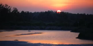 Che lingua si parla in Thailandia ? Scopri il tailandese e le lingue regionali Che lingua si parla in Thailandia