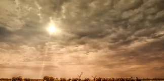 Qual è il periodo più indicato per fare un viaggio in Botswana Qual è il periodo più indicato per fare un viaggio in Botswana